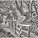 Waldweg BW