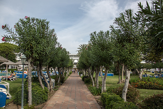 20161020 2347VRAw [E] Atalaya Park Hotel, Estepona, Spanien