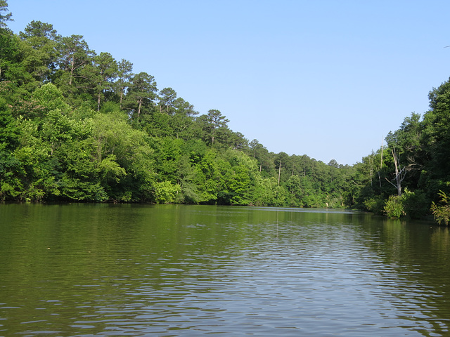 Tombigbee River