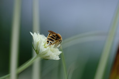 DSCF1084