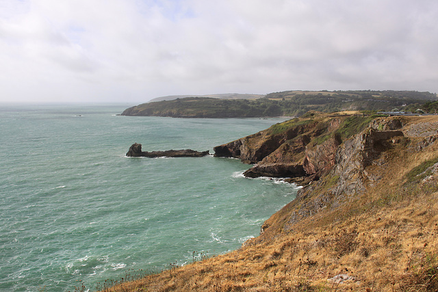 Berry Head