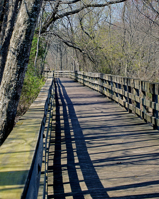 Boardwalk