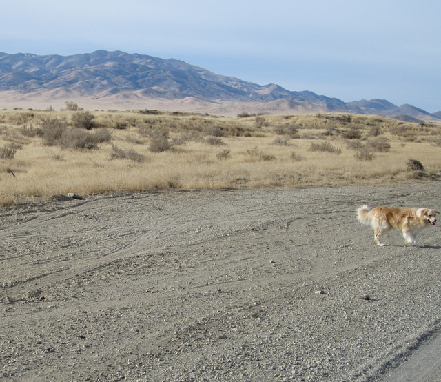 Jungo Rd Winnemucca NV2131a