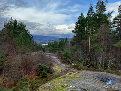 View from the Peak above the Rogie Falls. Highland