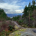 View from the Peak above the Rogie Falls. Highland