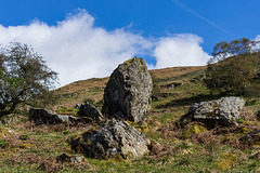 Standing Stone