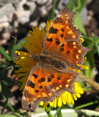 P5060034