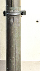 Regenrinne und Fliege