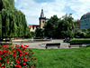 DSCN7467