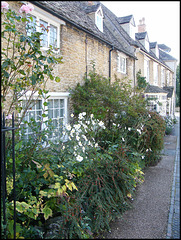 Church Street cottages