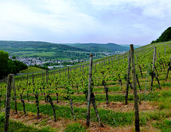 Auf dem Wanderweg Nr. 8