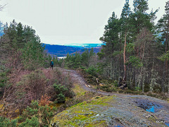 View from the Peak above the Rogie Falls. Highland