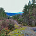 View from the Peak above the Rogie Falls. Highland