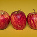 A Trio of Apples