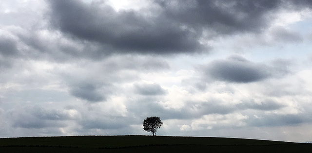 The One Tree Hill of Kemmental