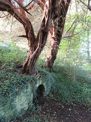 rousham park, oxon, grotto