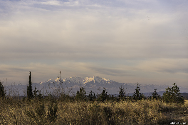 L’hiver en Roussillon. Le mont Canigou 2784 mètres.