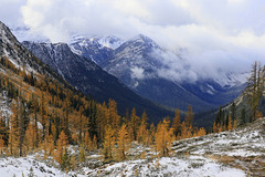 Cutthroat Pass and Autumn Larches