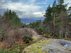 View from the Peak above the Rogie Falls. Highland