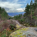 View from the Peak above the Rogie Falls. Highland