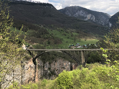 Đurđevića Tara Bridge.