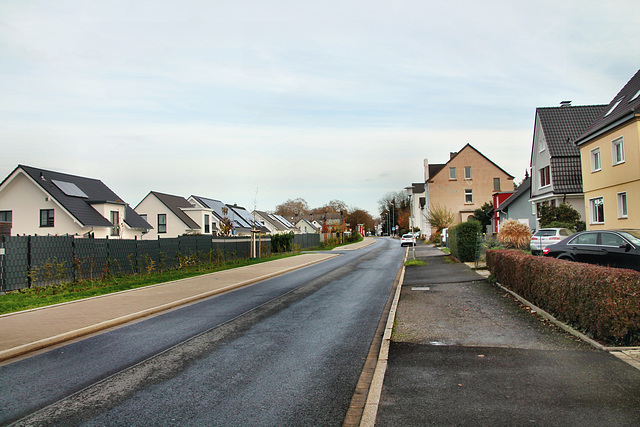 Afferder Weg (Unna-Königsborn) / 26.11.2022