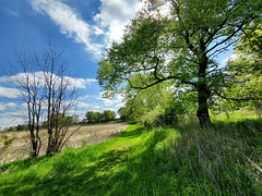 A perfect day in May.