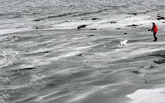 Two friends on a beach