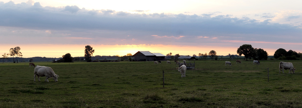 Sonnenaufgang Baisweil - Lauchdorf II