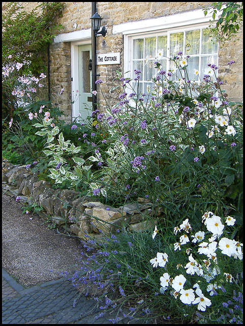 The Cottage garden