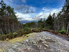 View from the Peak above The Rogie Falls on Blackwater, Highland