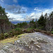 View from the Peak above The Rogie Falls on Blackwater, Highland