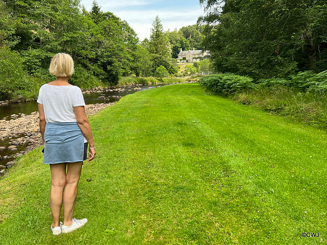 Glenerney Lodge Lawn by the Dorback