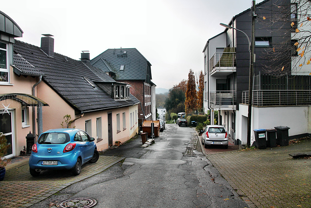 Parkweg (Witten) / 26.11.2023