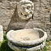Fano 2025 – Museo Civico e Pinacoteca – Dry lion