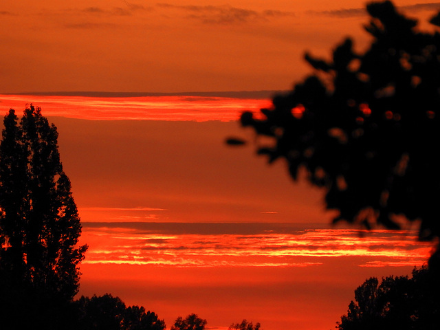 Sky-stripes  -30 August