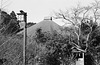 Roof of a temple