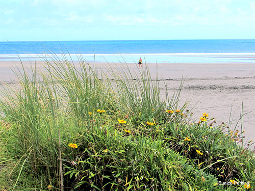 Lone Figure On The Shore