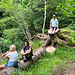 Rest Stop by the Dorback Falls