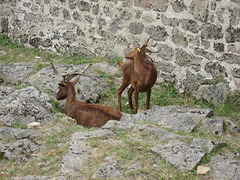 CREUSE 2008 2/3 CREUSE 2008 2/3