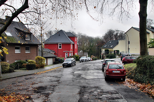 Parkweg/Wennemarsberg (Witten) / 26.11.2023