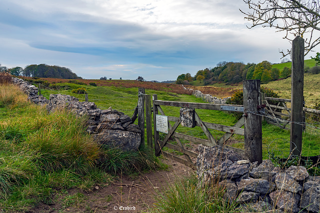 Ubley Colours