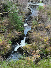 Salmon Ladder on The Rogie Falls on Blackwater, Highland