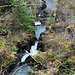 Salmon Ladder on The Rogie Falls on Blackwater, Highland