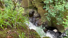 Part of the Dorback Falls