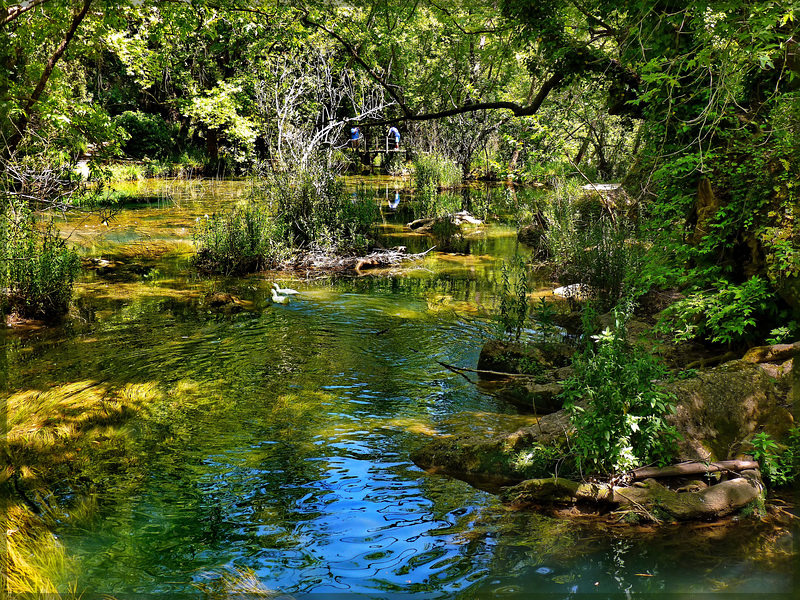 Kurşunlu lake - Turchia (367)