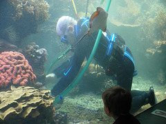 Putztag im Aquarium