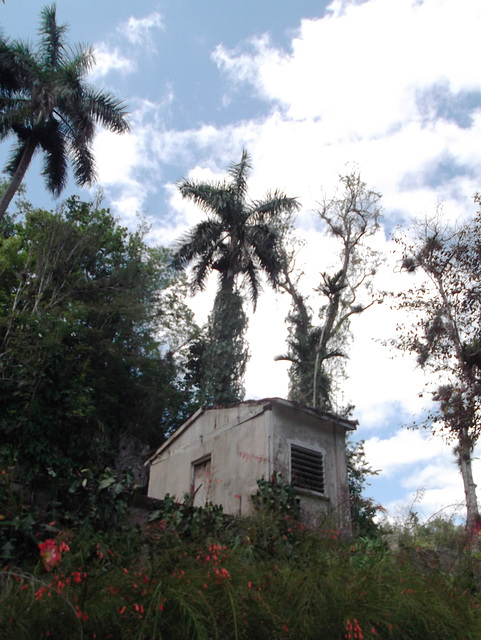 Orquideario upper shack