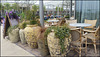 Westgate roof garden cafes