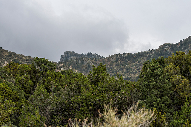Sandia mountains5